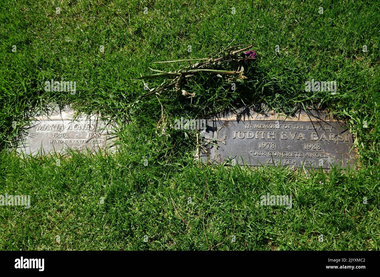 Los Angeles, California, USA 6th September 2022 Child Actress/murder victim Judith Barsi's Grave and mother/murder victim Maria Agnes Benko Barsi's Grave in Sheltering Hills Section at Forest Lawn Memorial Park Hollywood Hills on September 6, 2022 in Los Angeles, California, USA. Photo by Barry King/Alamy Stock Photo Stock Photo