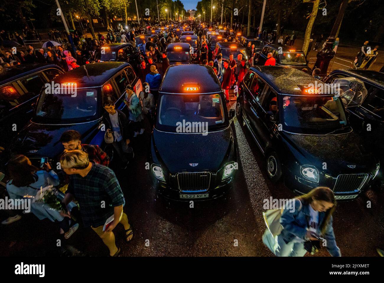 London UK 8th Sep 2022 Taxi black Cab Drivers Make A Tribute In vet-salary-how-much-does-a-vet-earn-veterinarian-youtube