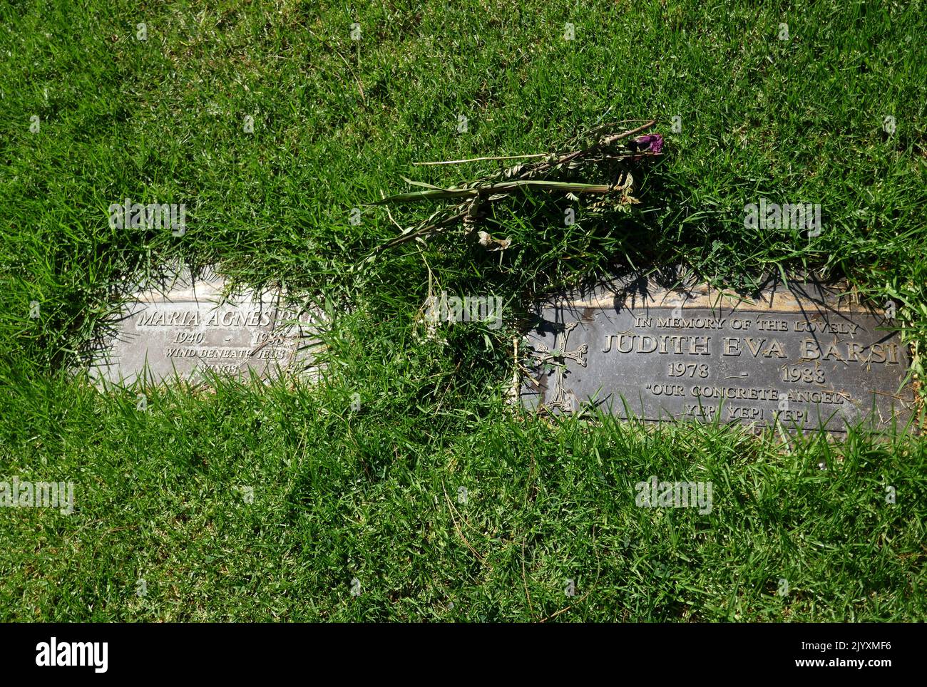 Los Angeles, California, USA 6th September 2022 Child Actress/murder victim Judith Barsi's Grave and mother/murder victim Maria Agnes Benko Barsi's Grave in Sheltering Hills Section at Forest Lawn Memorial Park Hollywood Hills on September 6, 2022 in Los Angeles, California, USA. Photo by Barry King/Alamy Stock Photo Stock Photo