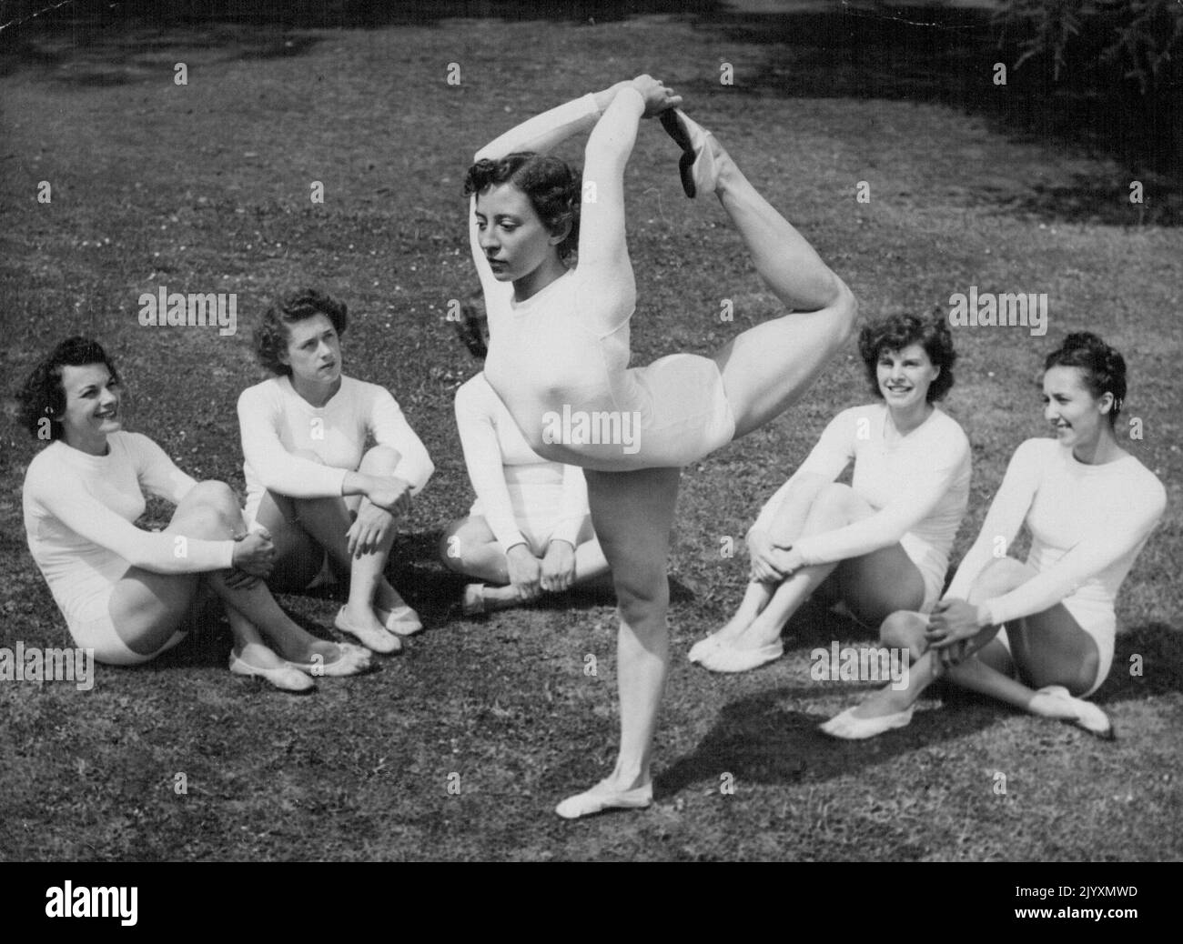 schroth-lomady-hi-res-stock-photography-and-images-alamy