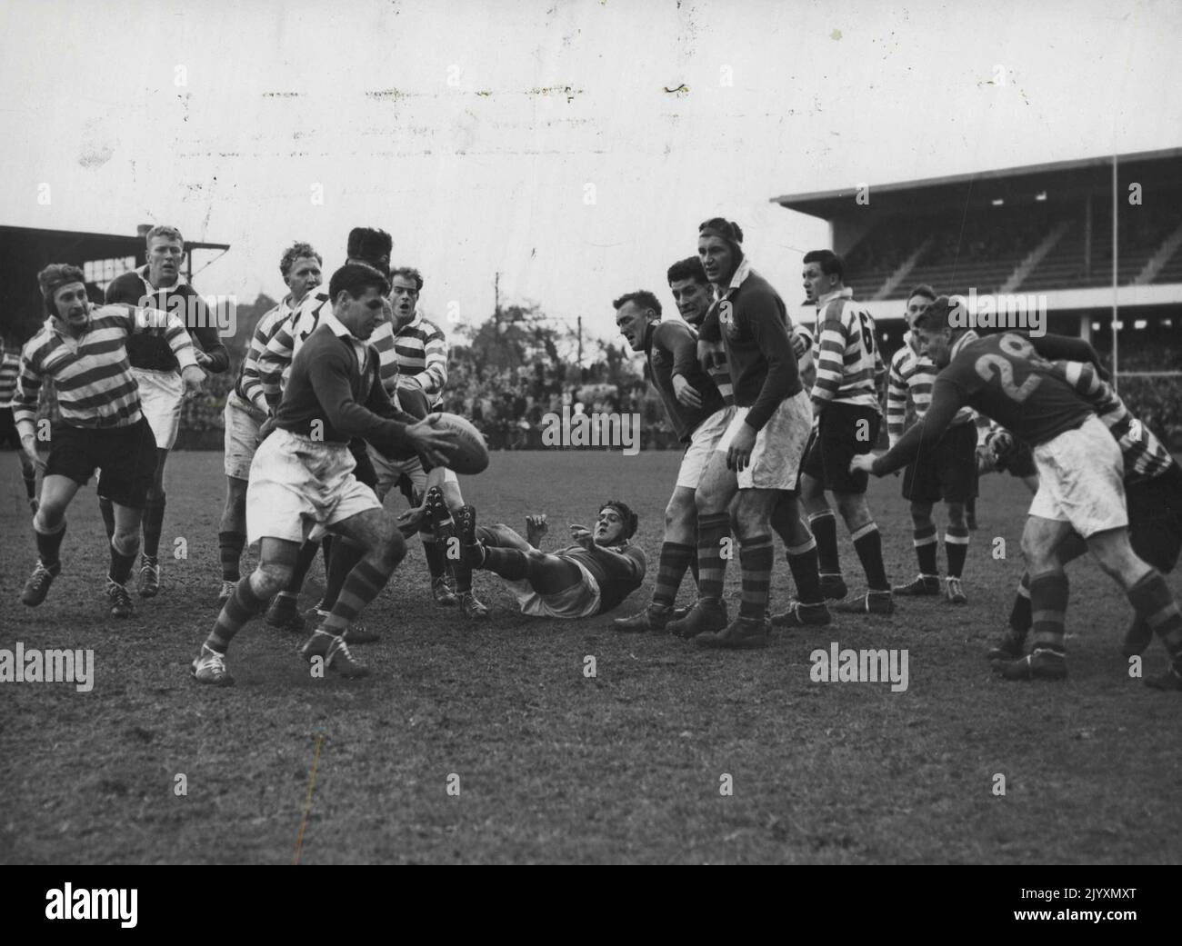 Australian Rugby Union player Johnny Rosier, about to clear with a kick from a scrum during the match against Western Province, at Capetown. The Australians won, Rosier scoring two tries. August 8, 1953. Stock Photo