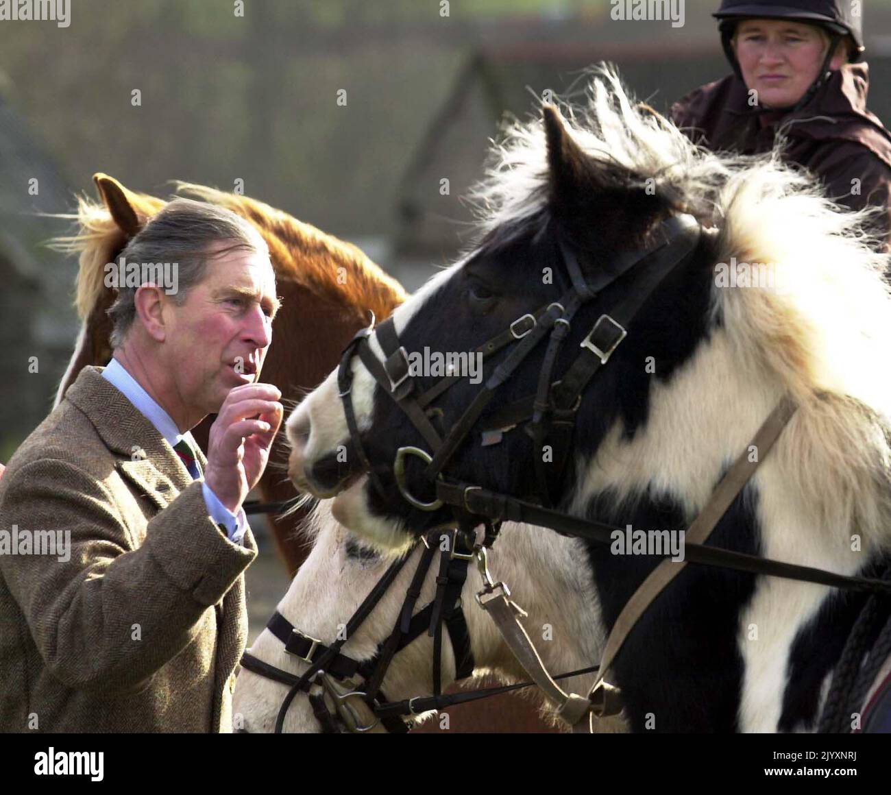 File photo dated 28/1/2002 of the Prince of Wales amongst the ponies at the Cantref Riding Centre, in the Brecon Beacons, mid-Wales, a business hit hard by the foot-and-mouth crisis. Issue date: Thursday September 8, 2022. Stock Photo