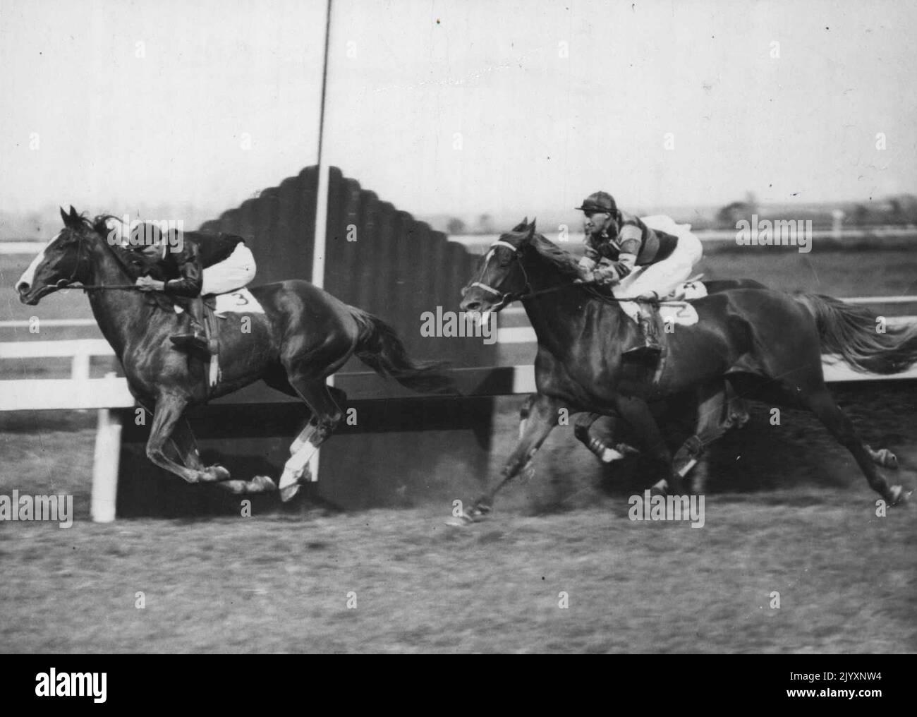 Rogilla wins at Rosehill. Former champion Rogilla, ridden by Darby Munro, goes past the post with all four feet off the ground in winning at Rosehill. Rogilla, ridden by Darby Munro, goes past the post with all four feet off the ground in winning at Rosehill. March 17, 1934. Stock Photo