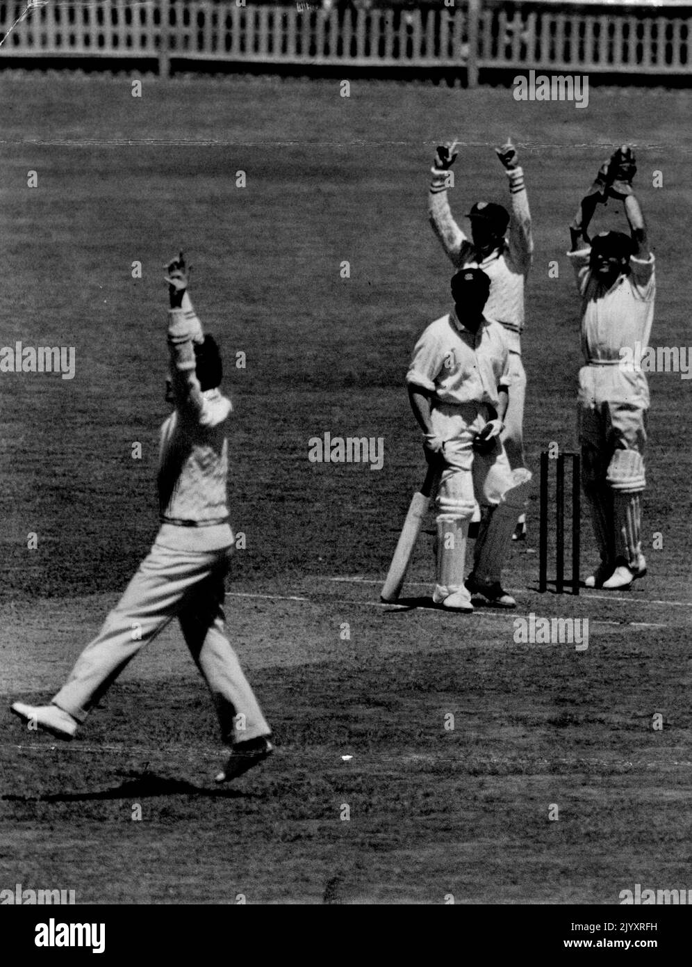 WA Batsman Lester Charlesworth caught by 'keeper Sismey in today's Shield match at the SCG. NSW captain Keith Miller leads a unanimous appeal. November 07, 1949. Stock Photo