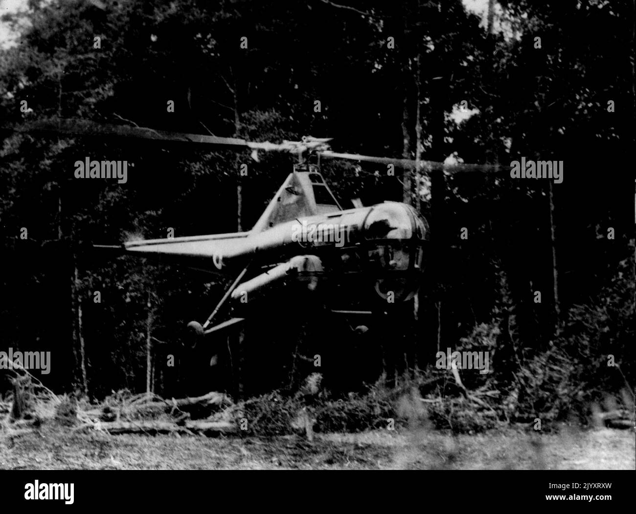 Helicopter Ambulance In Malaya -- The Royal Air Force helicopter air ambulances are rapidly nearing the end of their operational trails in Malaya. Here a Westland Sikorsky hoverfly 2 drops slowly to earth in a small jungle clearing hammed in by tall trees, its rotors barely clearing the jungle fringe. Clamped to the side is the stretcher bearing pannier which contains the wounded patient. Regular evacuation services are planned for the casualties suffered by the security forces in their anti-bandit fighting in the jungles of Malaya. July 18, 1950. (Photo by Associated Press Newsphoto). Stock Photo
