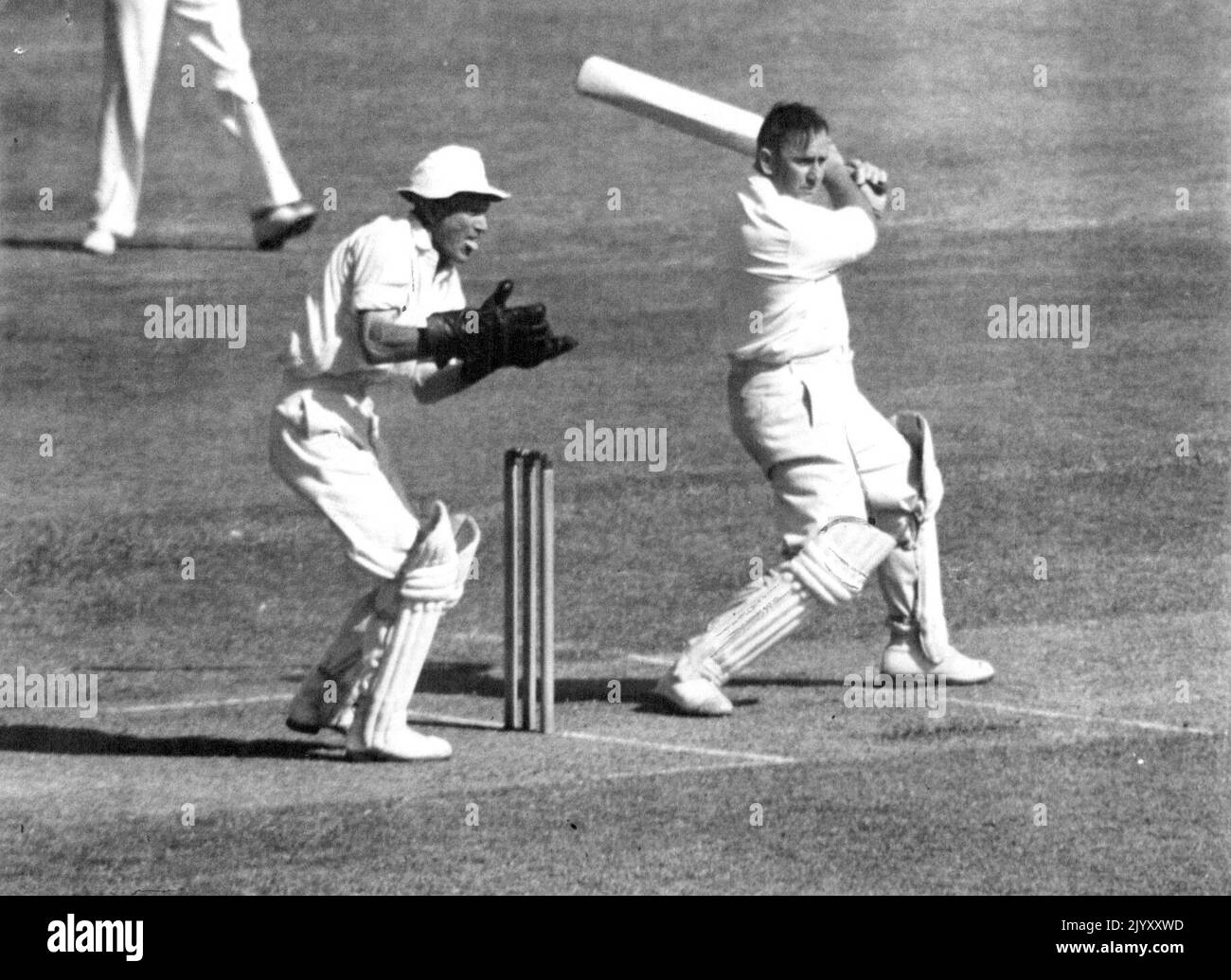 Australian first class cricketer hires stock photography and images