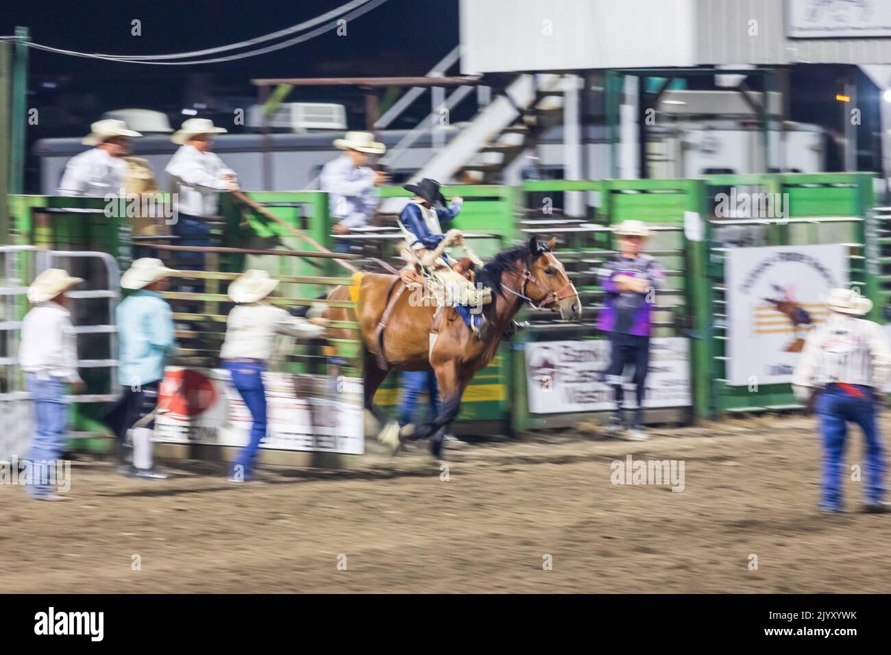 Bronco riding hires stock photography and images Alamy