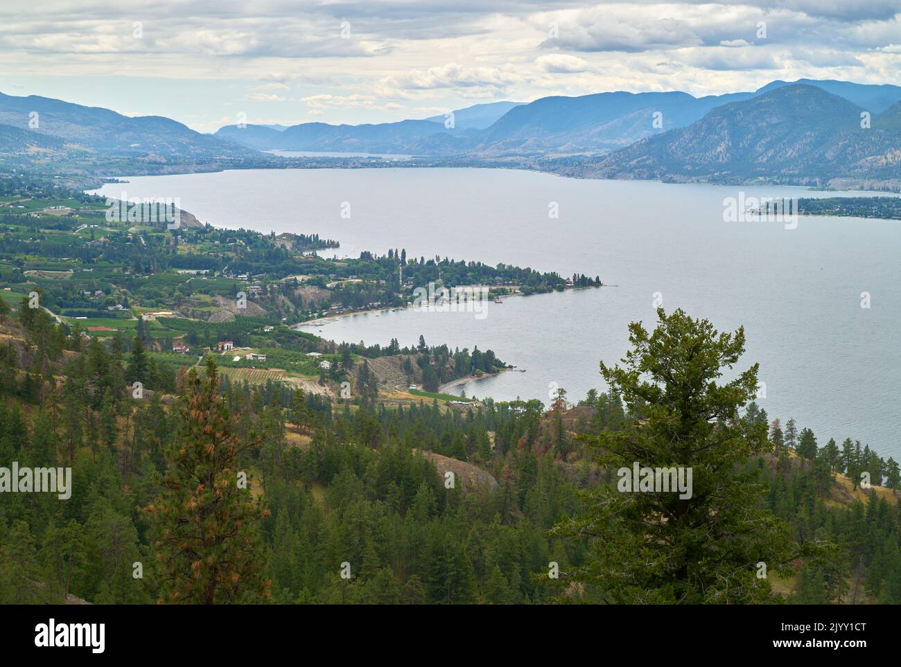 Naramata Hillside and Okanagan Lake Overview. The forest and hills above the Naramata vineyards and Okanagan Lake, British Columbia, Canada. Stock Photo
