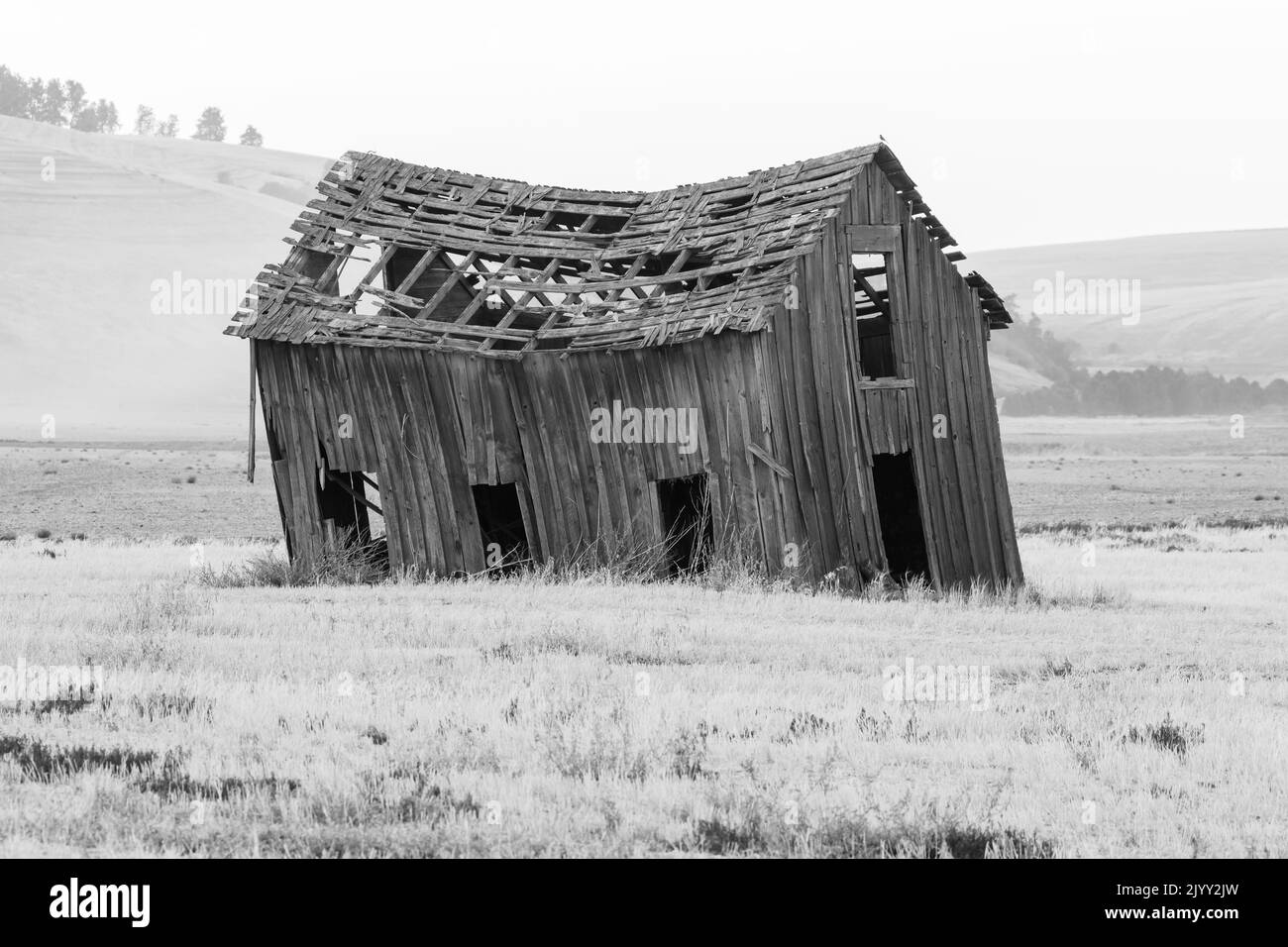 USA, Washington State, Whitman County. Palouse. Old Barn on Wilcox Road