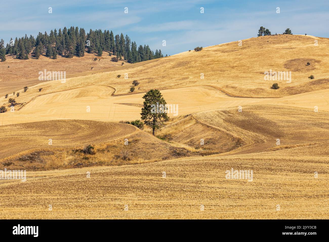 USA, Washington State, Whitman County. Palouse. Pullman. Old Moscow