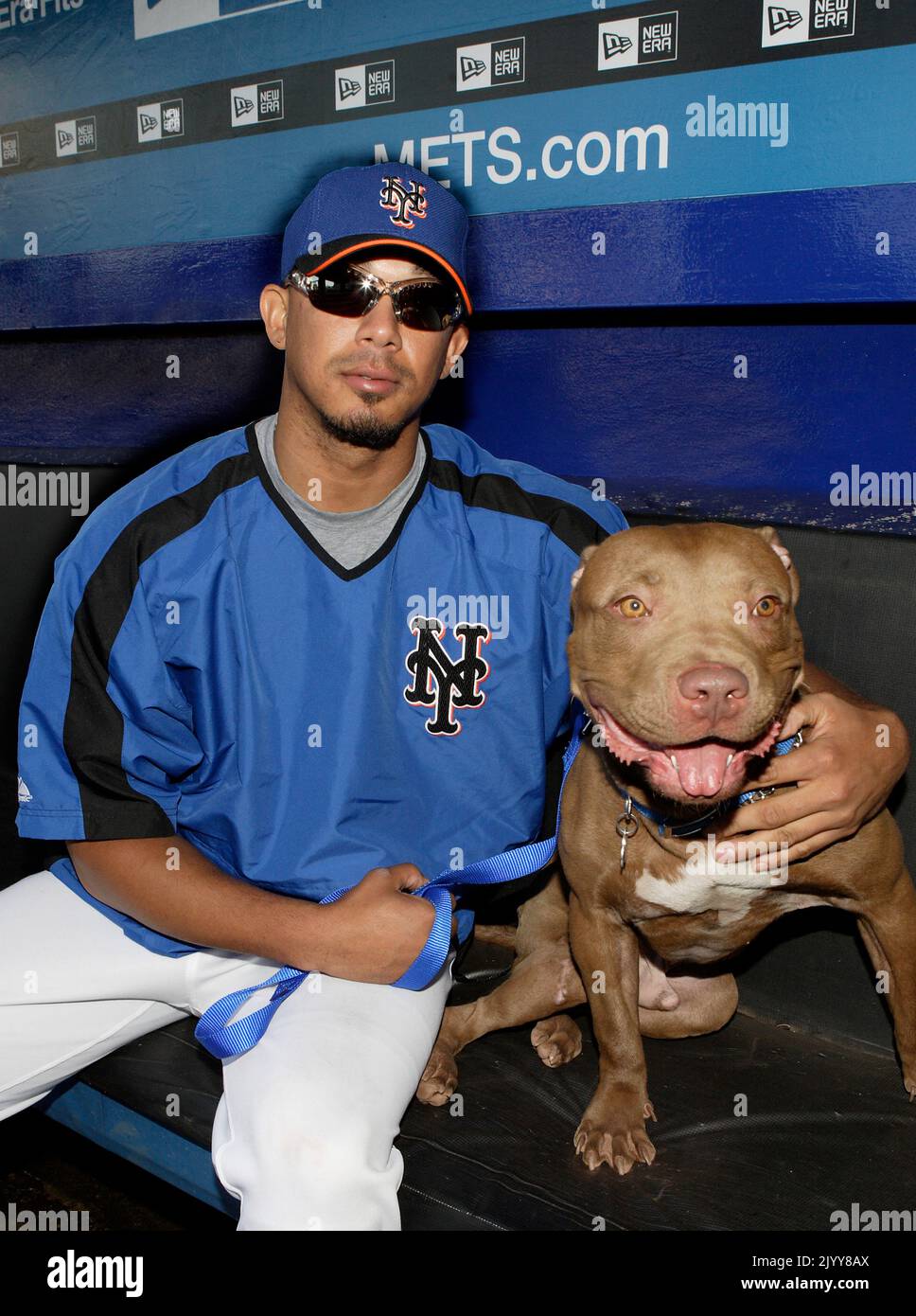 2006 New York Mets baseball players with shelter dogs, promoting the adoption of homeless dogs. Stock Photo