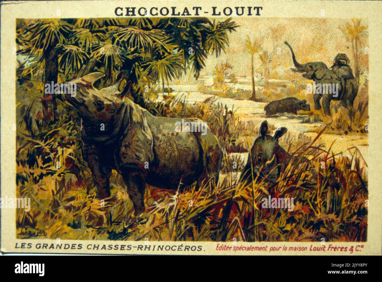 Coloured Illustration depicting a series of animals being hunted entitled "The Great Hunt"; rhinoceros. Stock Photo