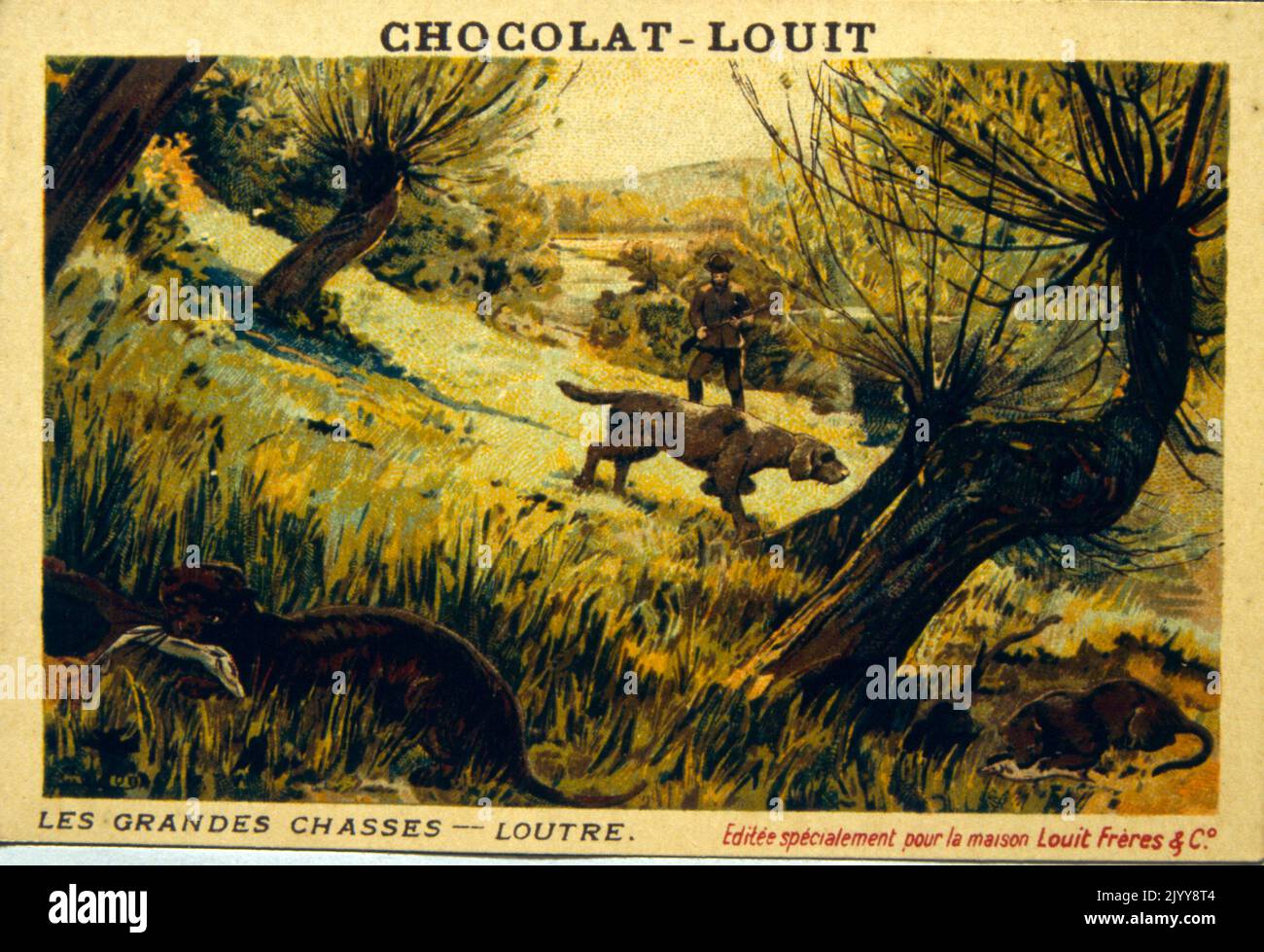 Coloured Illustration depicting a series of animals being hunted