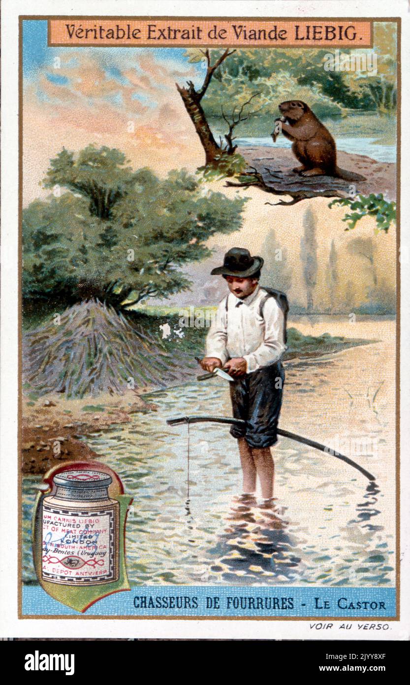 Advertisement for Liebig products; beaver hunters. Stock Photo