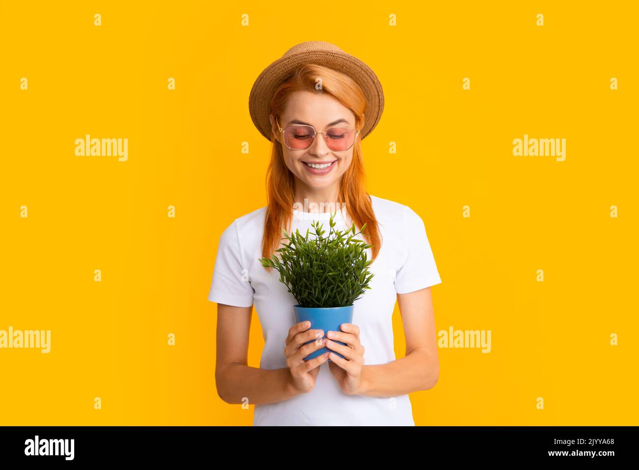 Woman planting flowers in pot isolated on yellow studio background. Pretty model working, summer gardening concept. Stock Photo