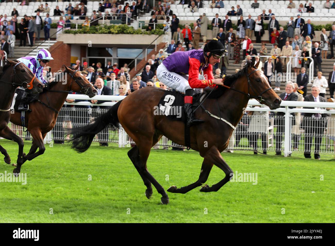 Love affairs horse hires stock photography and images Alamy