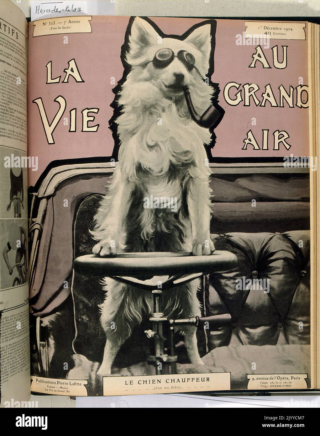 Photograph inside the lifestyle magazine La Vie au Grand Air; a dog at the steering wheel of a car with a pipe and driving glasses. Stock Photo
