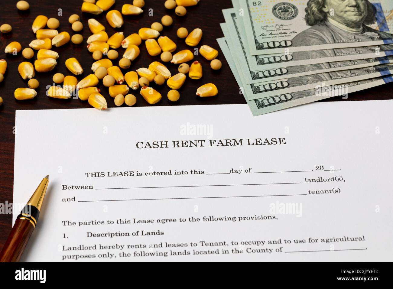 Cash rent farm lease document with corn and soybean seed. Farming, agriculture and tenant farming concept. Stock Photo