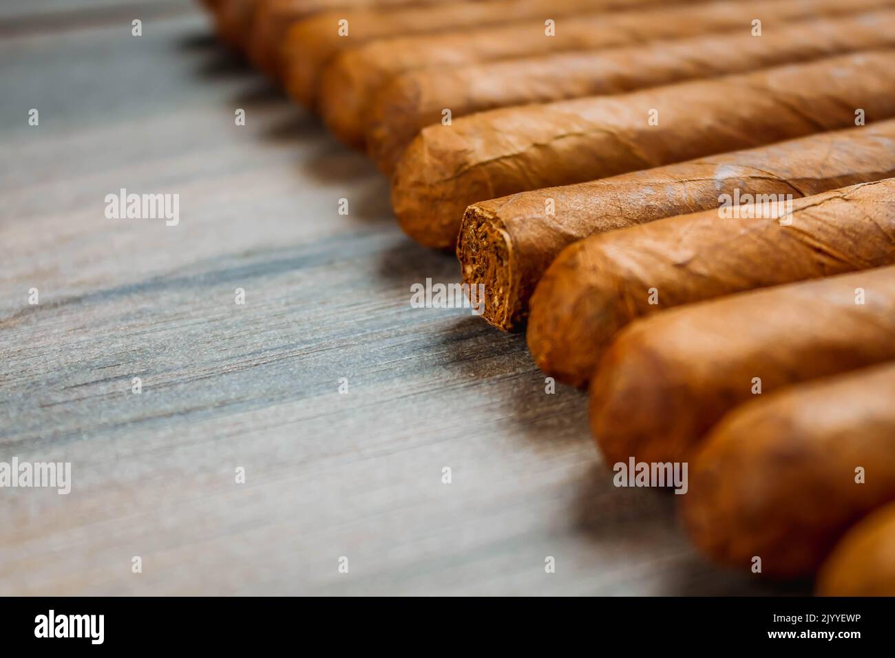 Cuban cigars on rustic wooden table in line on the edge of background. Stock Photo