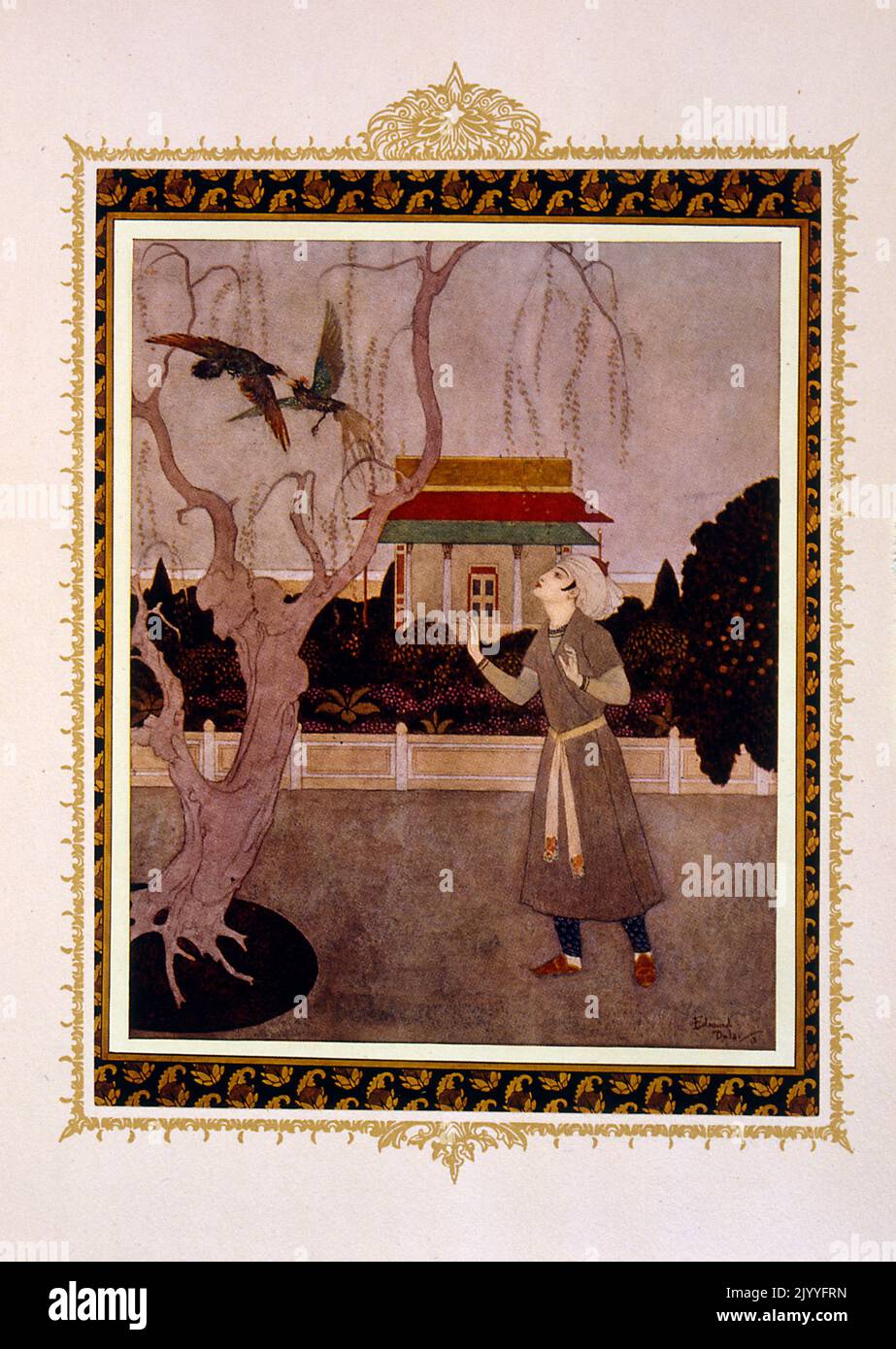 Illustration from 'Princess Badoura: A Tale from the Arabian Nights' depicting a man looking at exotic birds in a tree. Illustrated by Edmund Dulac (1882-1953), a French British naturalised magazine and book illustrator. Stock Photo
