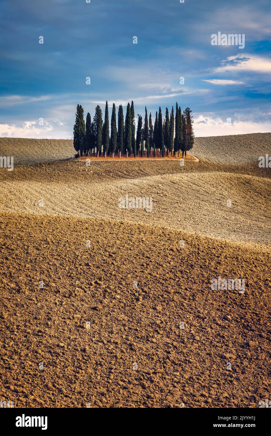 Cipressi Di San Quirico D'Orcia at golden hour with beautiful warm light and clouds on hills italian landscape in Tuscany in Italy. Group of italian c Stock Photo