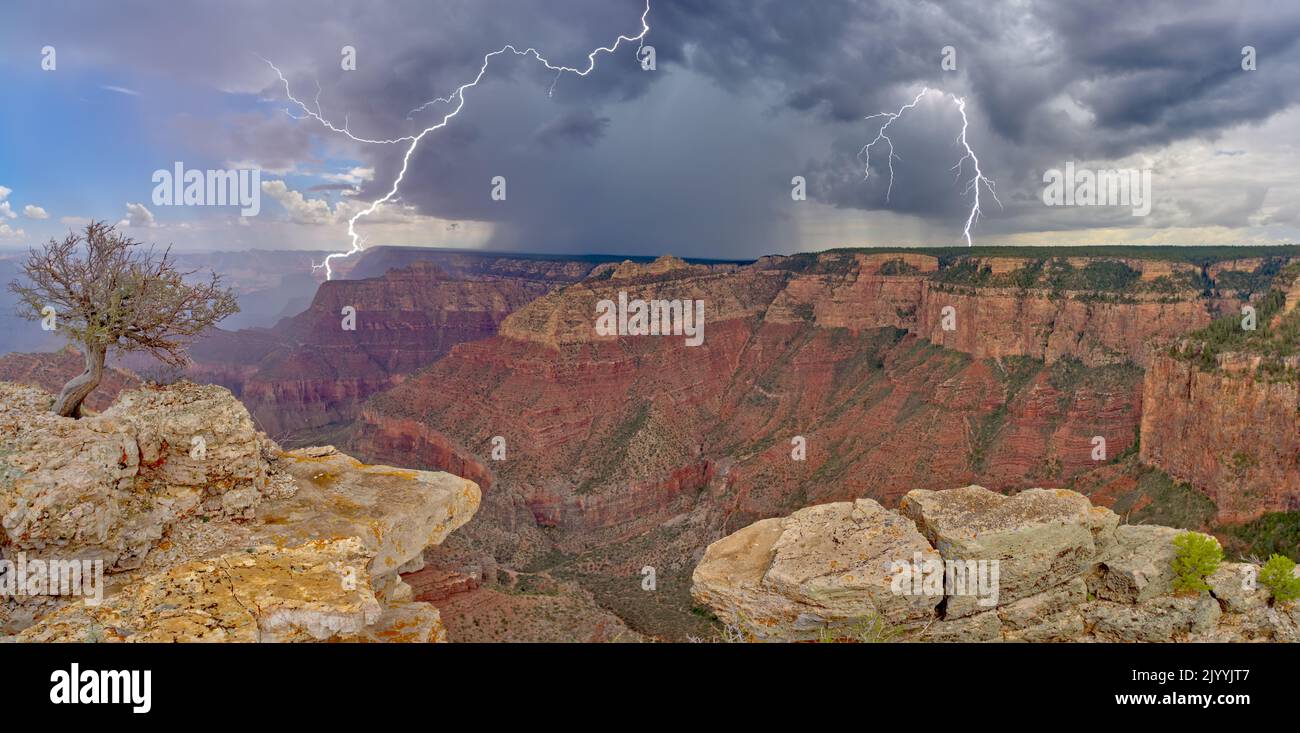 A large storm rolling into Grand Canyon Arizona near Grandview Point during the 2022 Monsoon season. Stock Photo