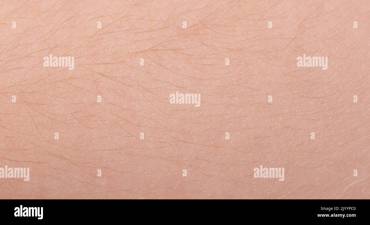 Small hair on baby skin pattern background close up view Stock Photo