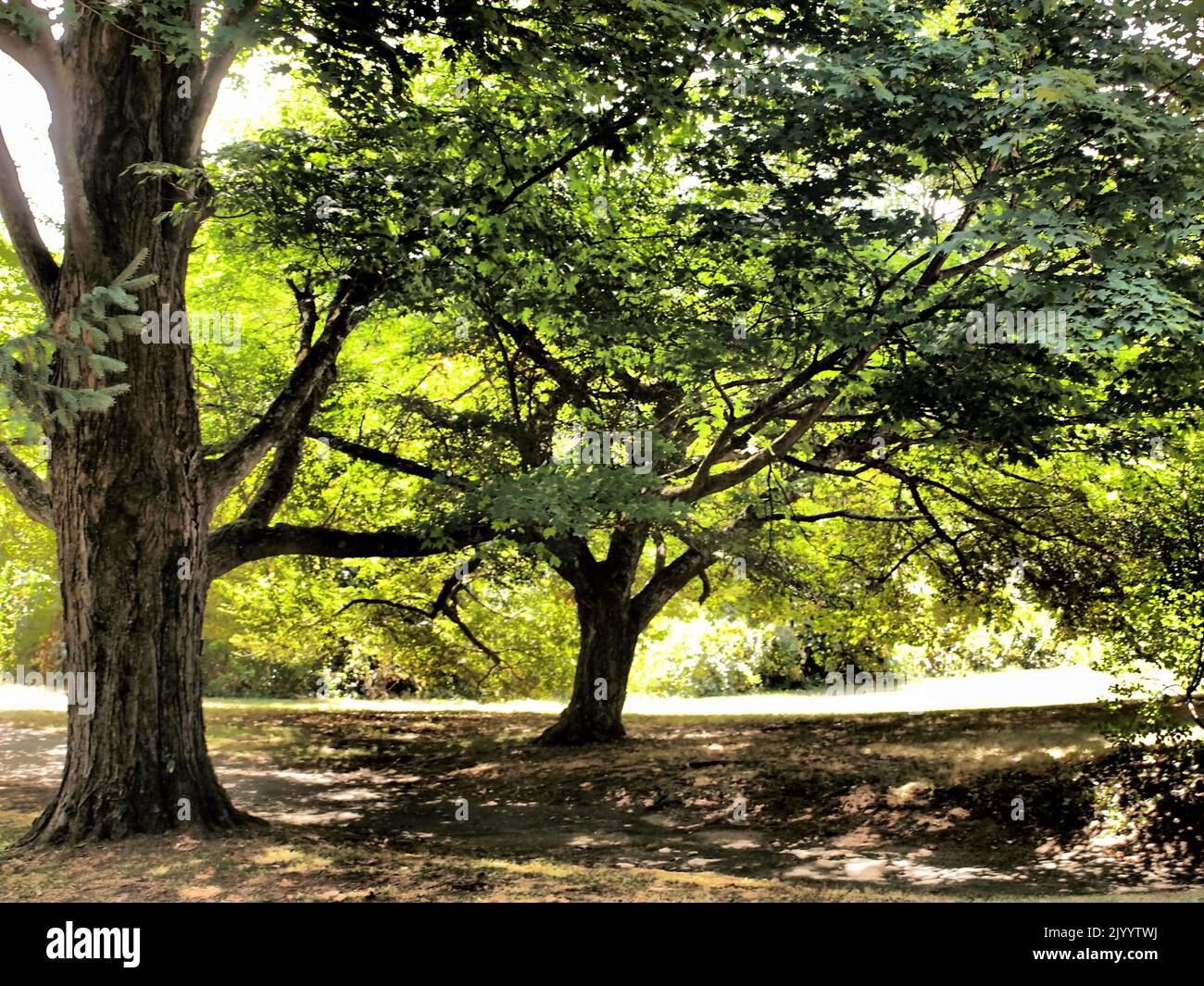 Ringwood State Park in Ringwood, New Jersey. The park is situated in 