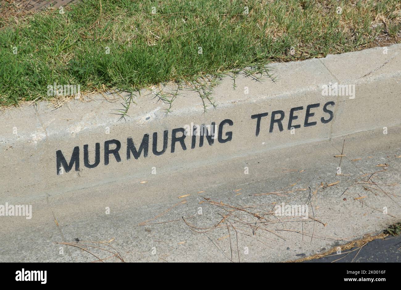 Los Angeles, California, USA 6th September 2022 Murmuring Trees Section