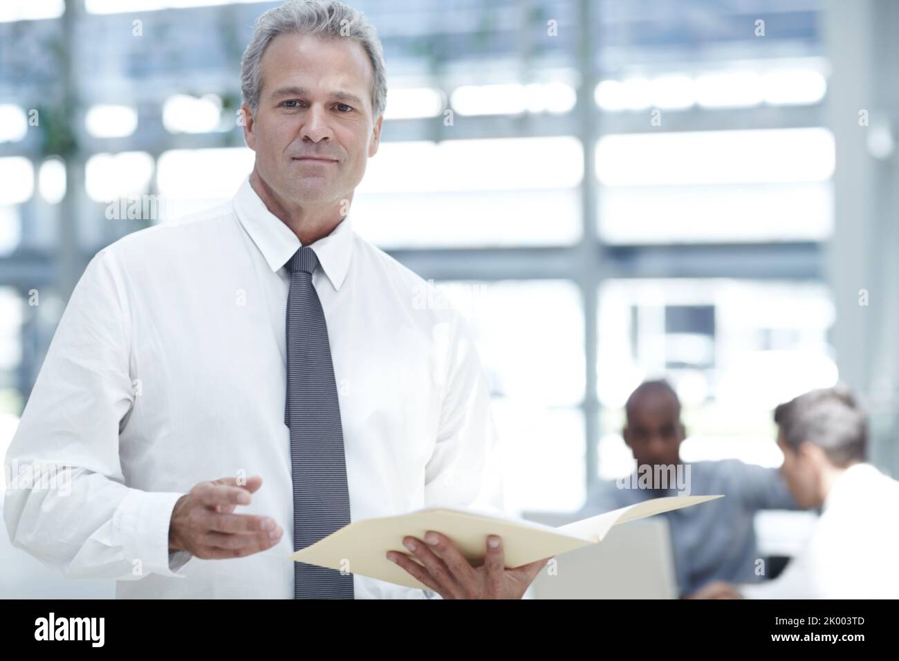 Reading a concise business file. Portrait of a mature businessman ...