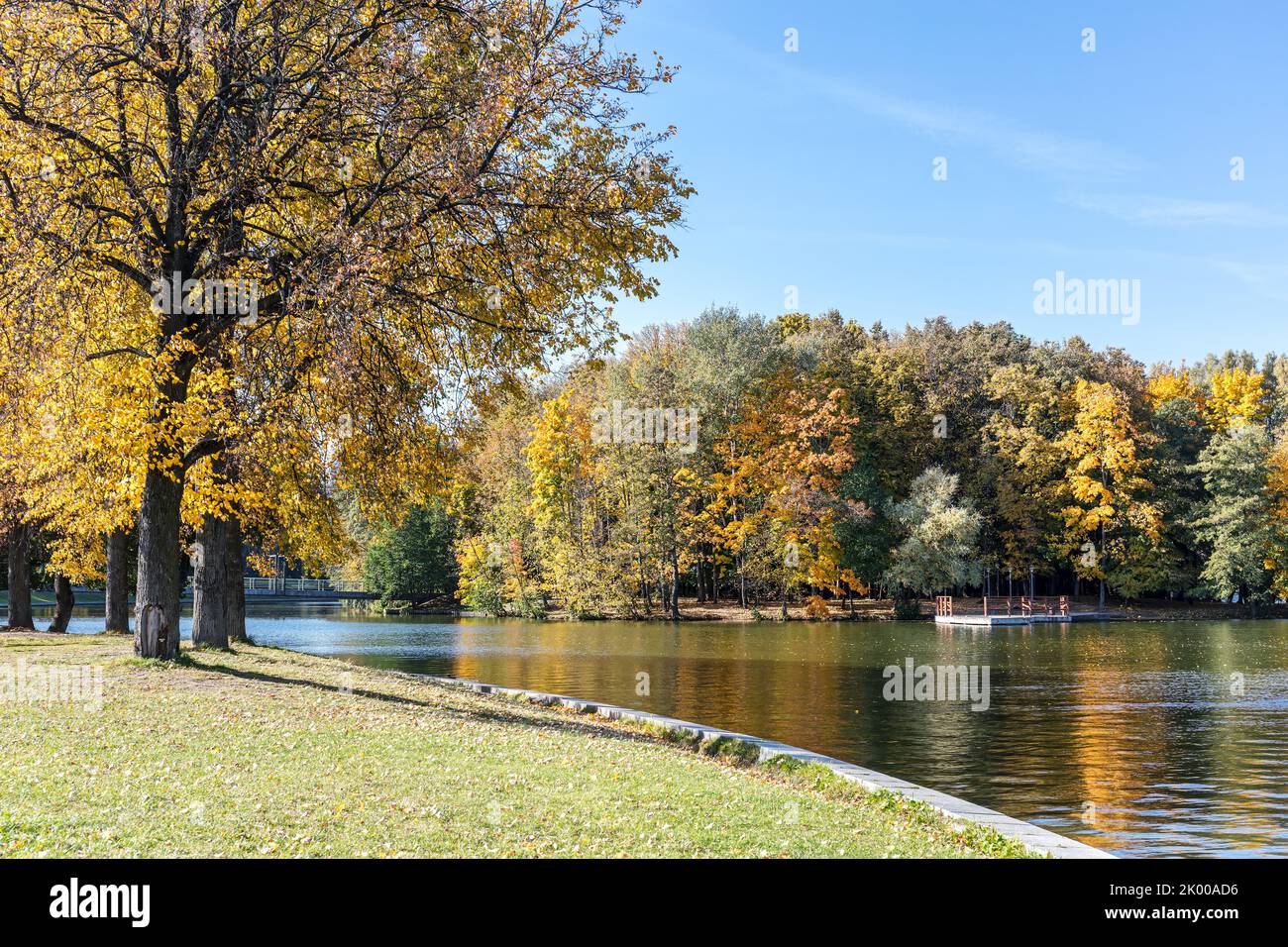 beautiful landscape in autumn park with bright yellow trees on lake shore Stock Photo