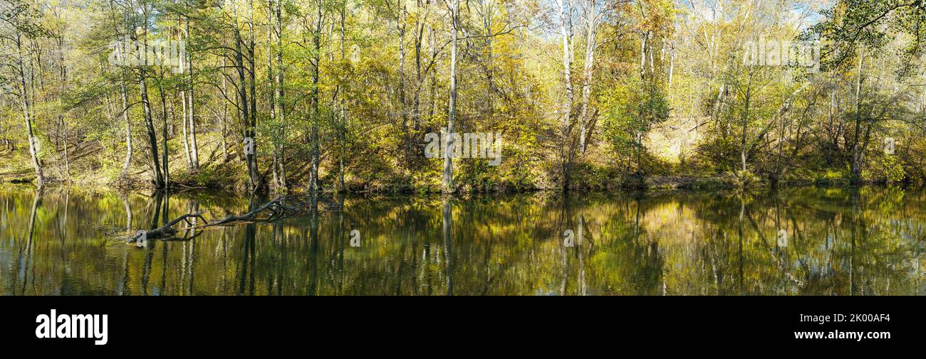 panorama of a beautiful golden autumn forest on river shore with trees reflections in water at sunny day Stock Photo