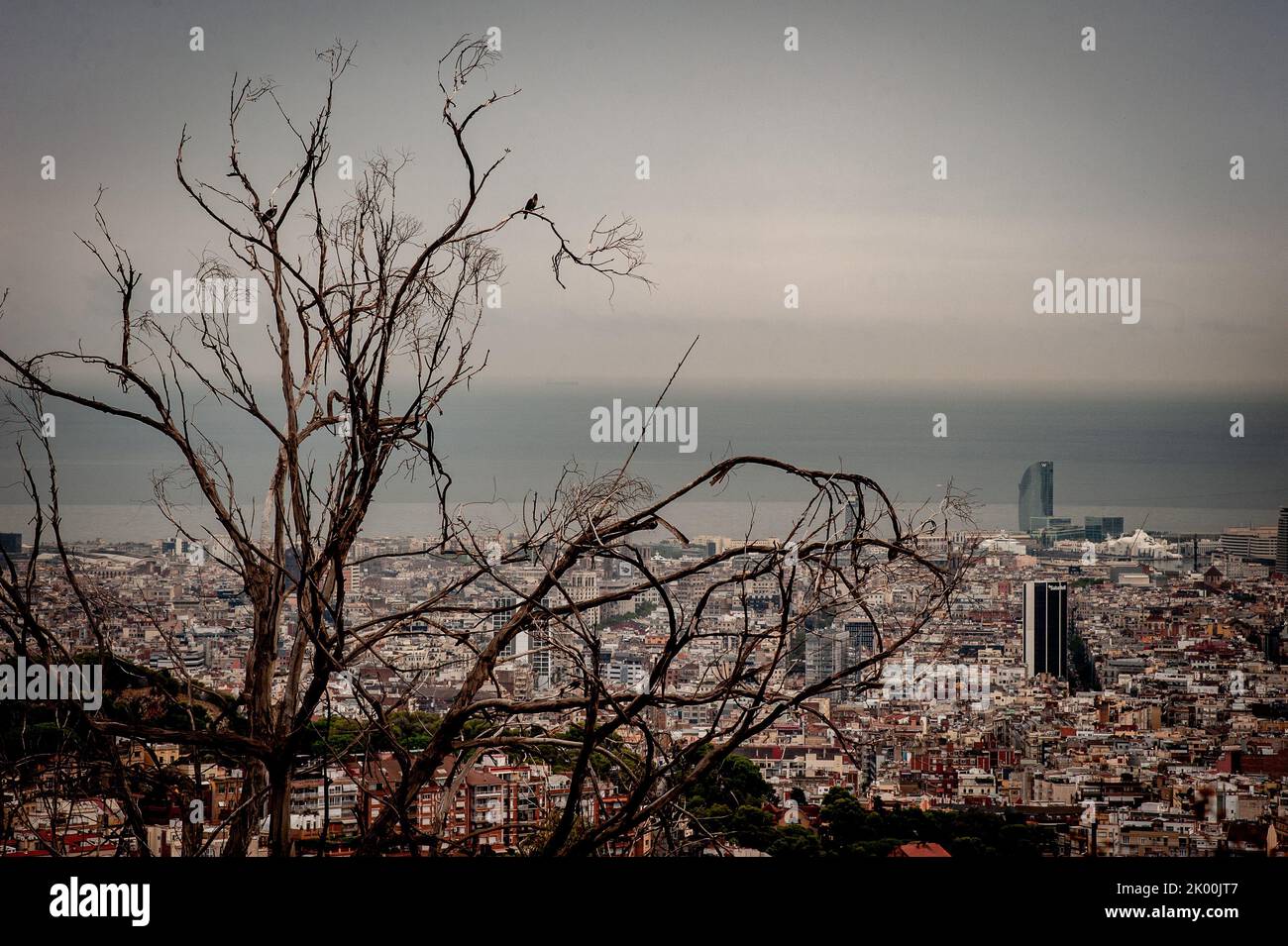 Aerial view of Barcelona from Collserola range on a cloudy day Stock Photo