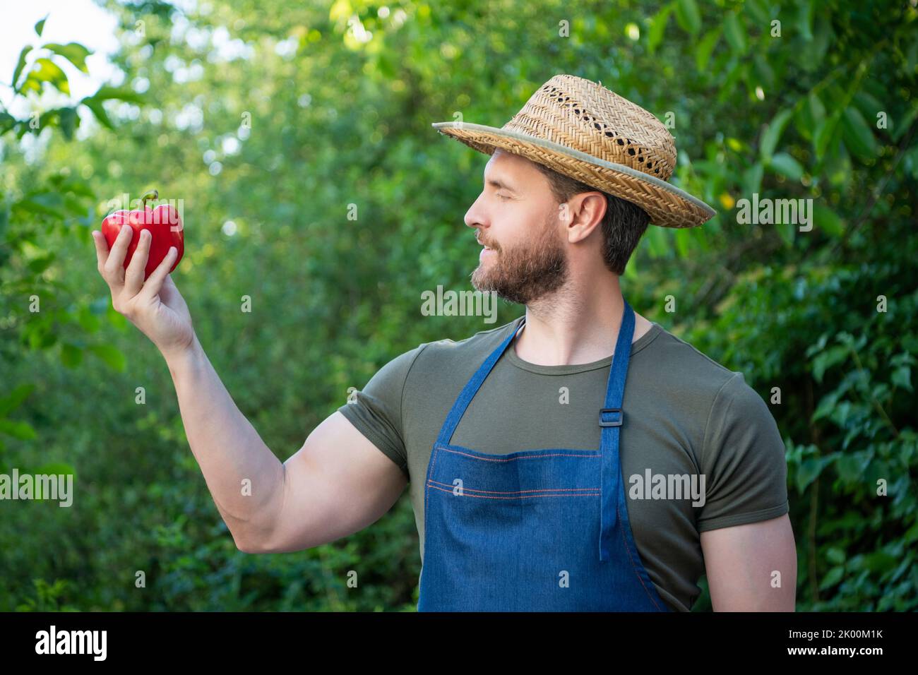 farmer villager in straw hat with sweet pepper Stock Photo - Alamy