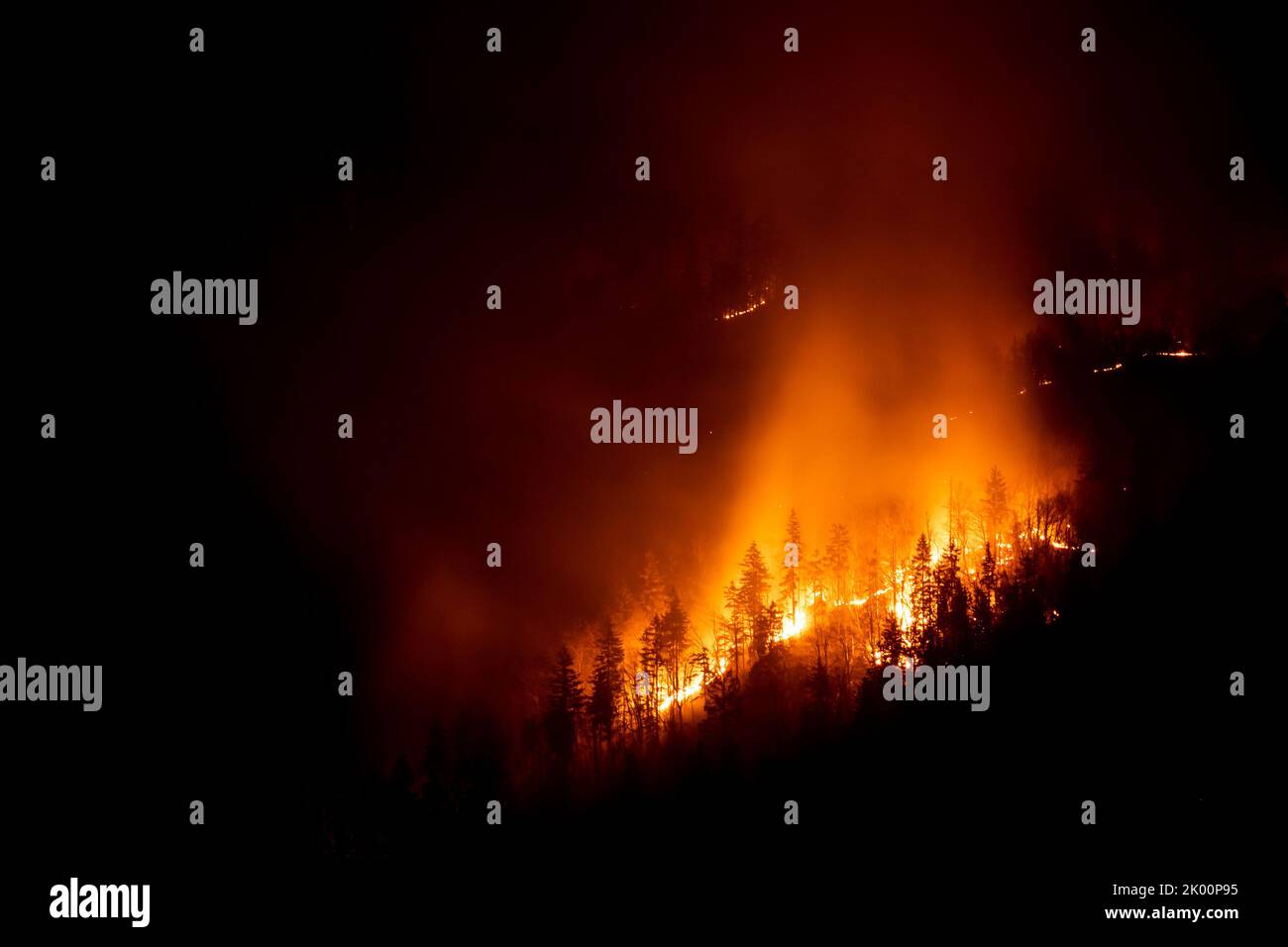 Mountain forest wildfire at night with burning trees Stock Photo - Alamy
