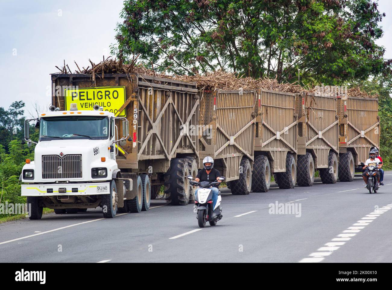 Colombia, area north of Cali in the Valley del Cauca is the sugar cane area. Harvested cane is transported to the factory by so called  'sugar-trains' Stock Photo
