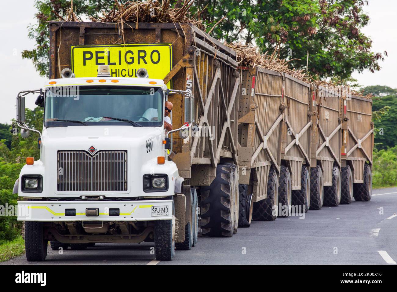 Colombia, area north of Cali in the Valley del Cauca is the sugar cane area. Harvested cane is transported to the factory by so called  'sugar-trains' Stock Photo