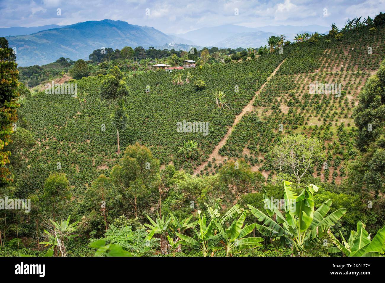 Huila department colombia hi-res stock photography and images - Alamy