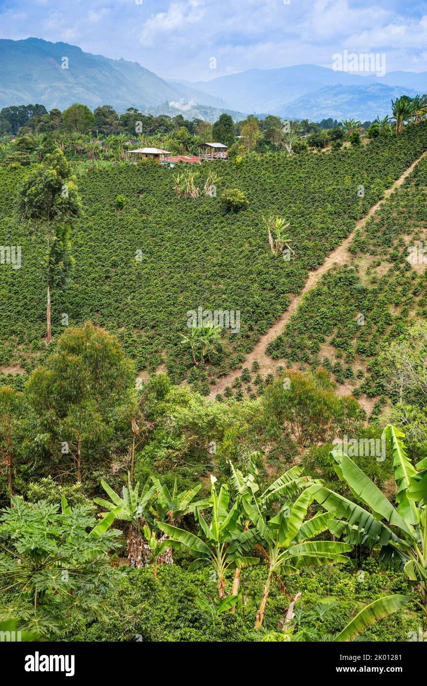 Huila department colombia hi-res stock photography and images - Alamy