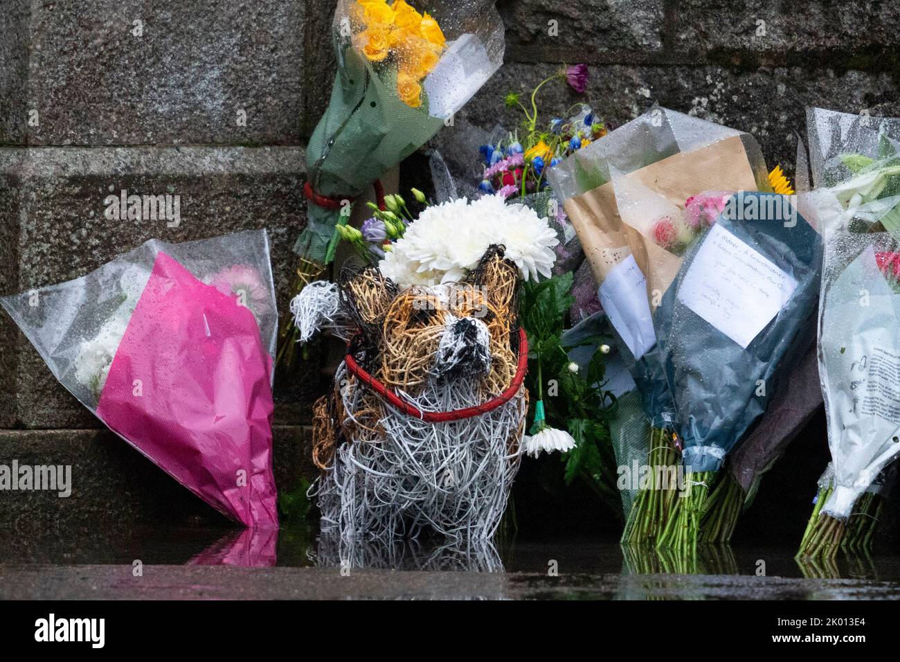 Balmoral, Scotland, UK. 9th September 2022. Members of the public laying flowers at the entrance gates to Balmoral Castle following news of death of HRH Queen Elizabeth II yesterday. Pic; Floral tribute in shape of Corgi dog.   Iain Masterton/Alamy Live News Stock Photo