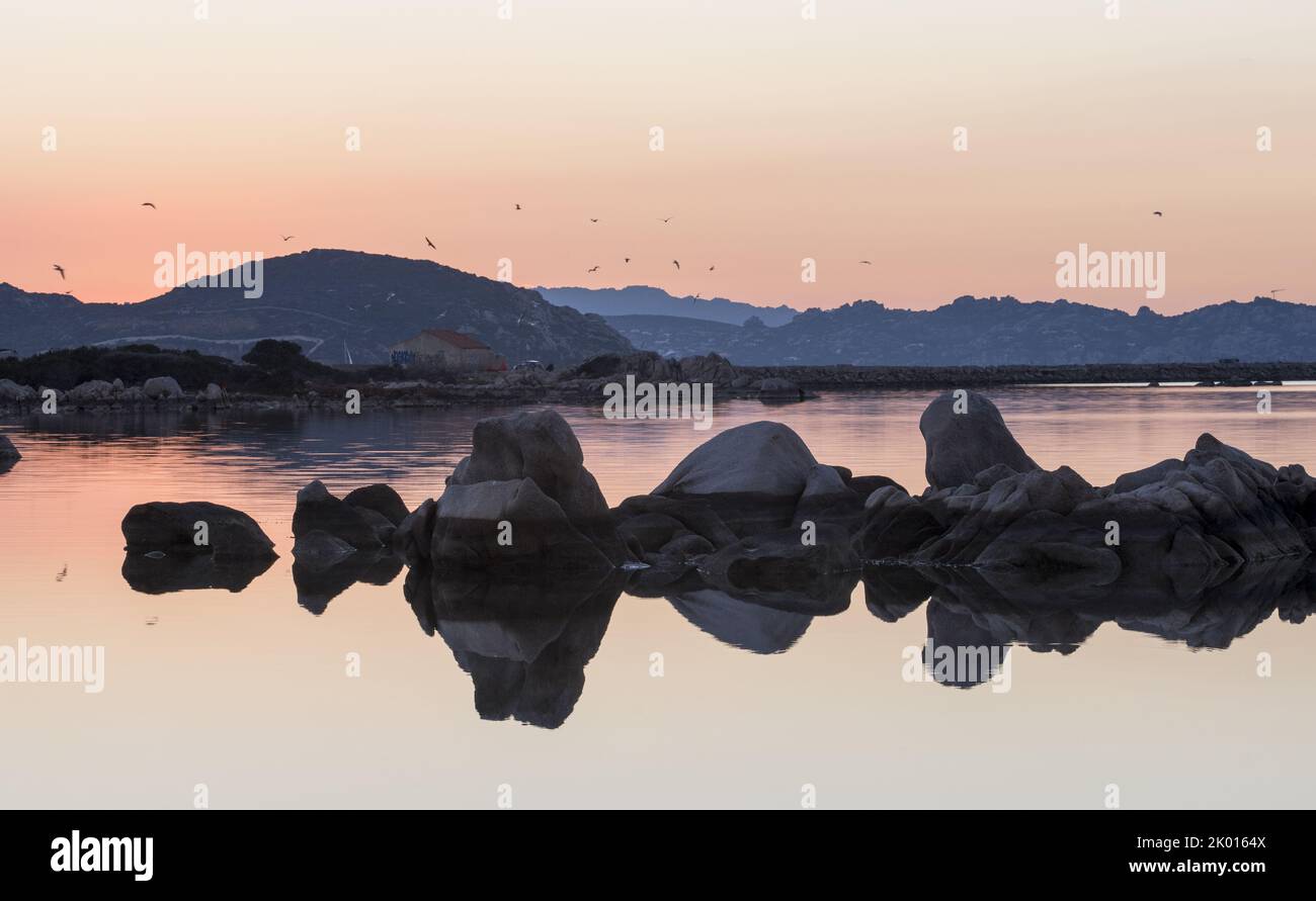 Sardegna, Caprera, rocce sul mare Stock Photo