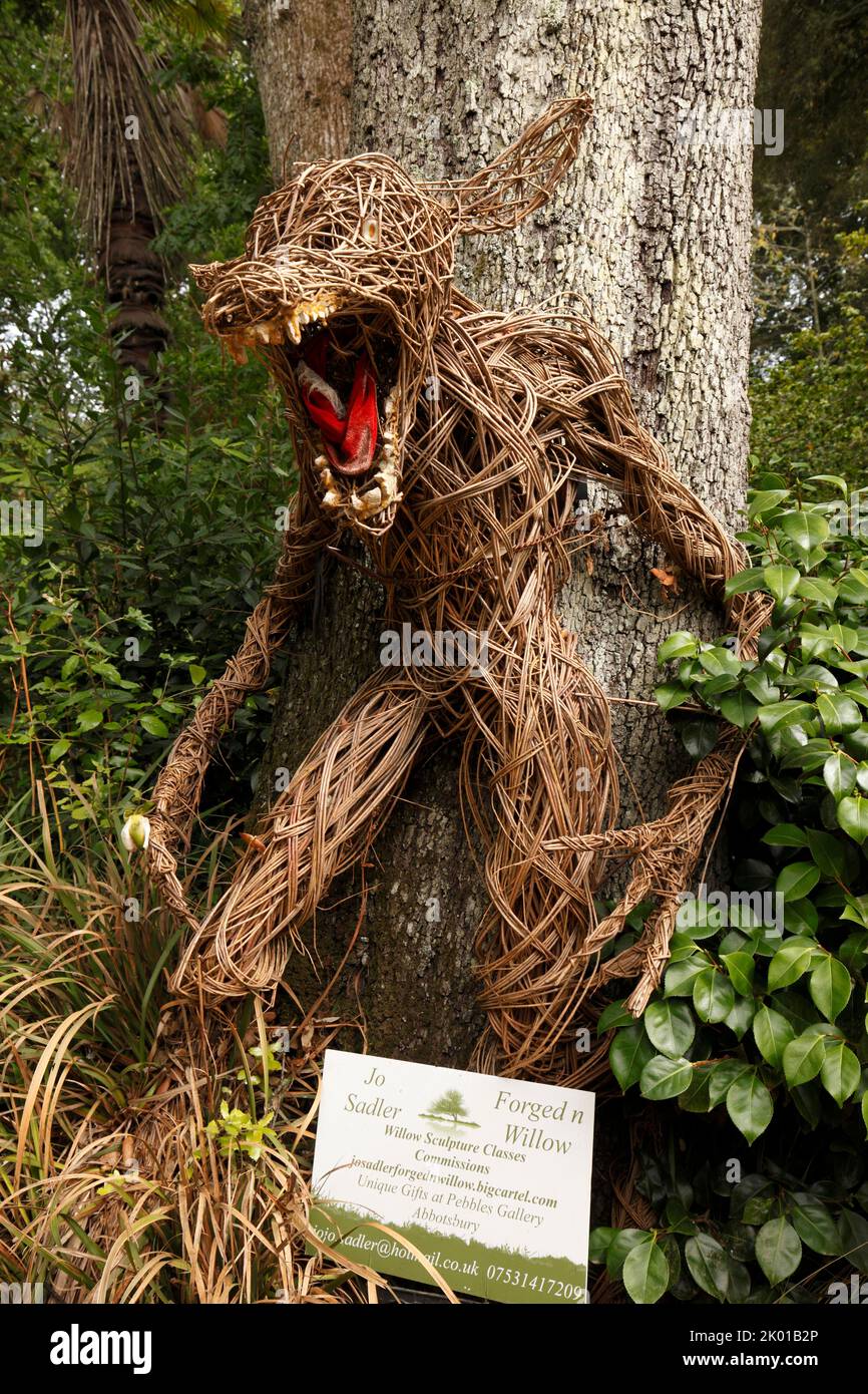 Wicker Wolf crafted from twisted strips of willow. Fairy tales. What big teeth.....Abbotsbury subtropical gardens Stock Photo