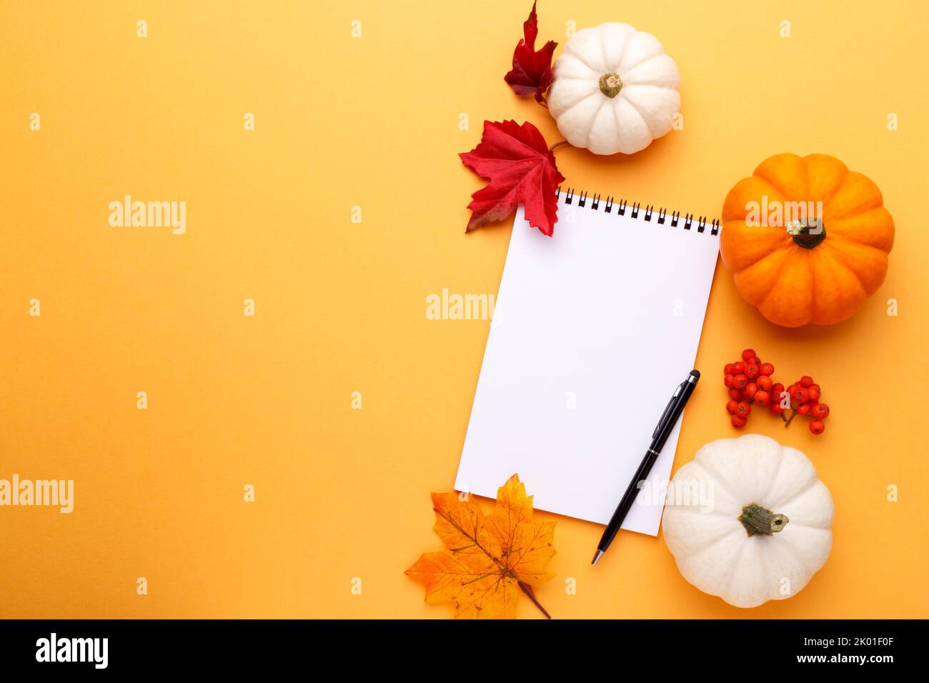 White and orange decorative pumpkins and notepad with pen on the orange background, flat lay with copy space Stock Photo