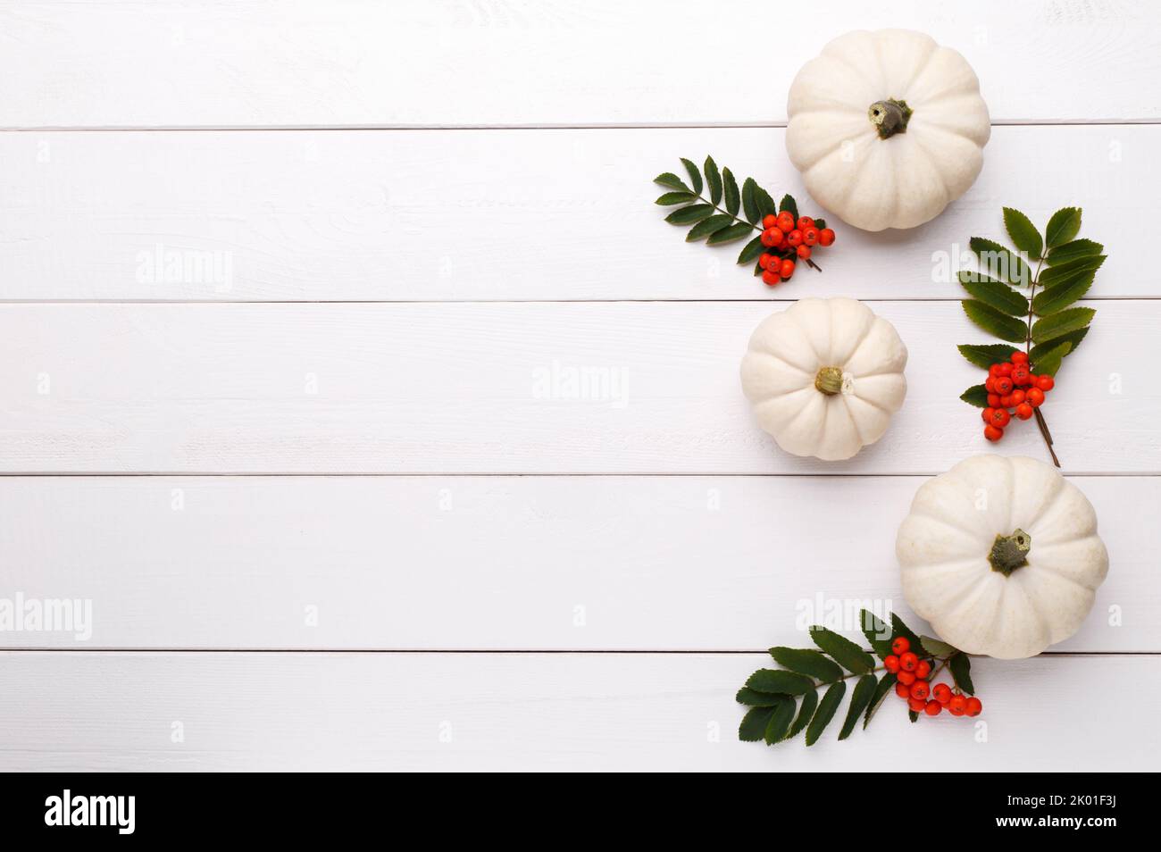 White decorative pumpkins Baby Boo on the white wooden background, flat lay with copy space Stock Photo