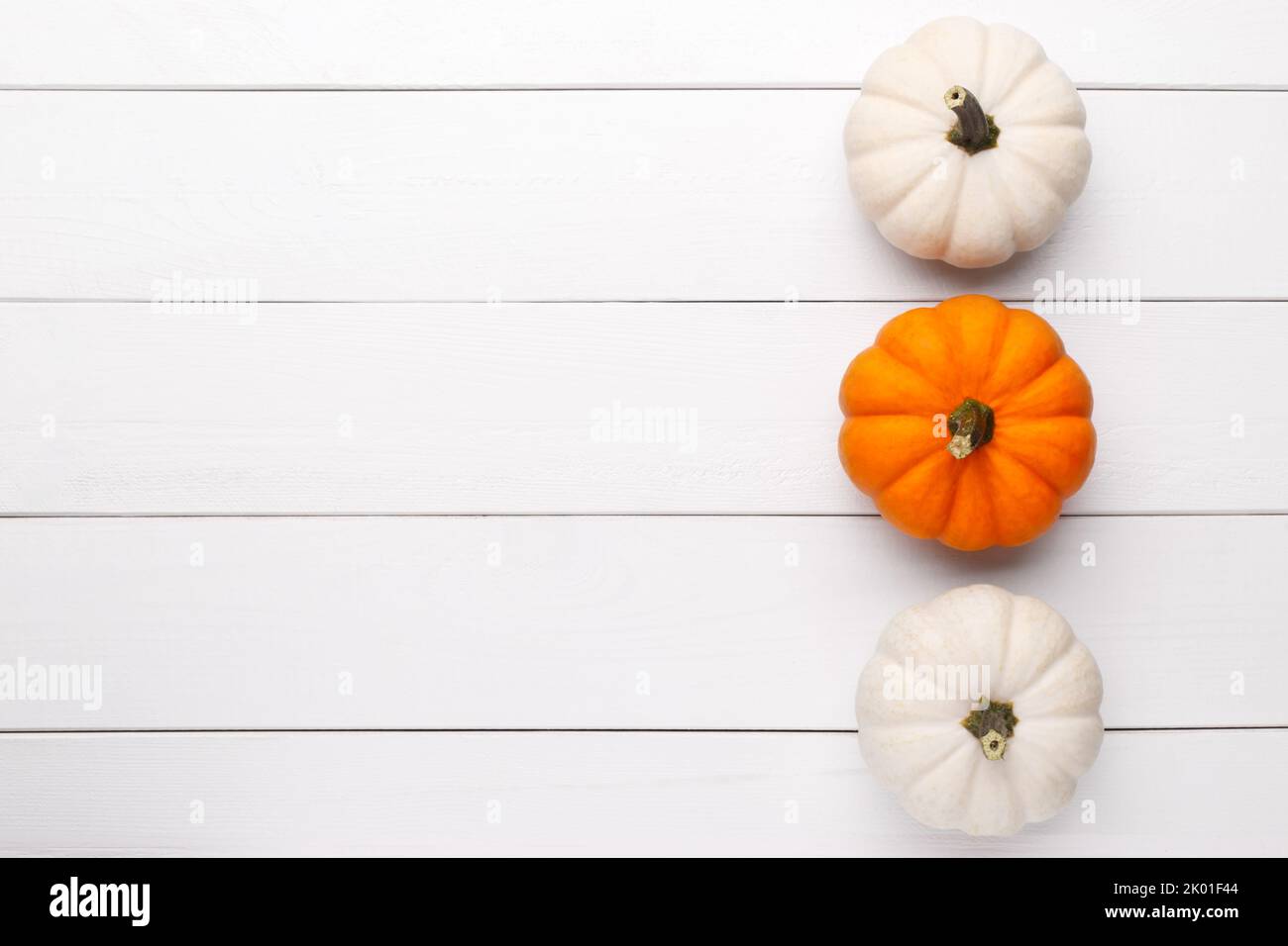 White and orange decorative pumpkins on the white wooden background, flat lay with copy space Stock Photo
