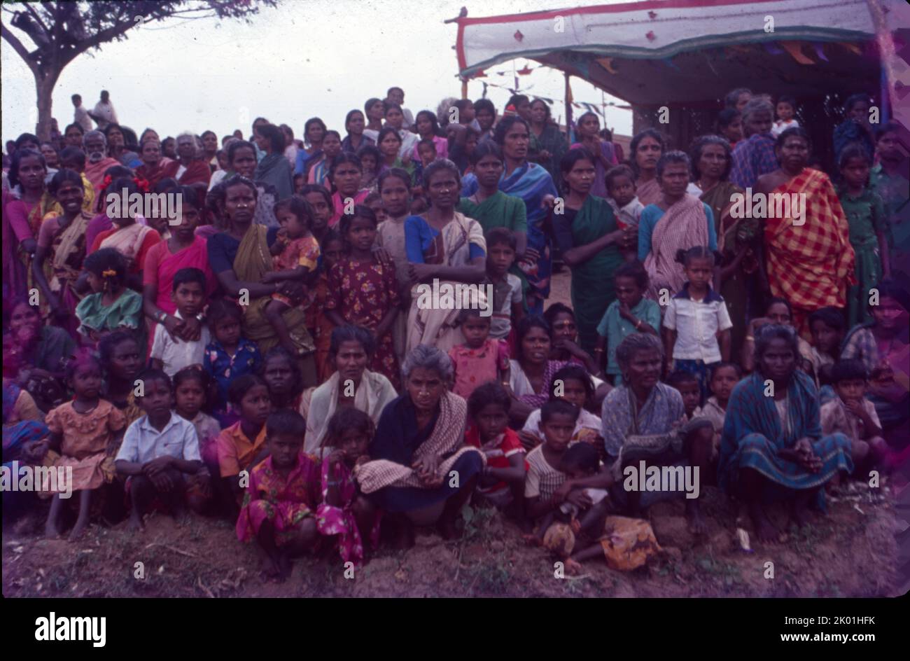 Crowd watching Bullock Cart Race, Mellur, Tamil Nadu Stock Photo - Alamy