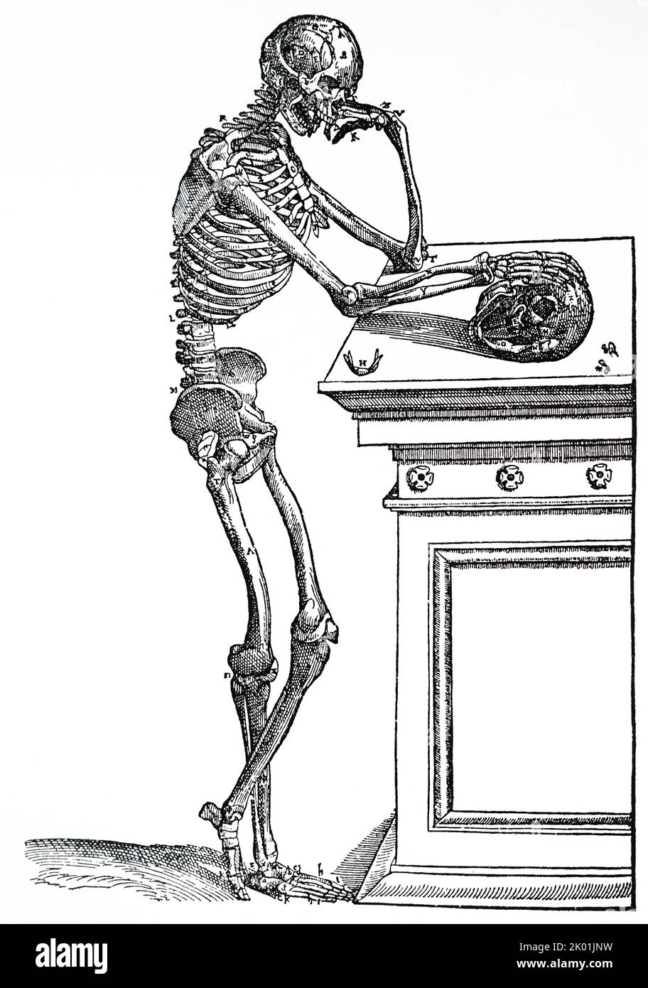 The male skeleton. From Andreas Vesalius De Humani Corporis Fabrica, Basel, 1543. Stock Photo