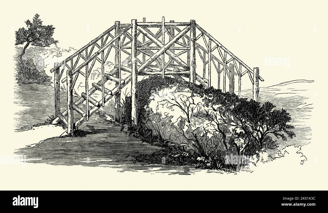 An old Victorian engraving of a design for a rustic, timber, garden footbridge. It is from a book of 1890. Here the bridge spans a hedging fence. The open treads of the steps do not look that comfortable – or that safe – underfoot! Stock Photo