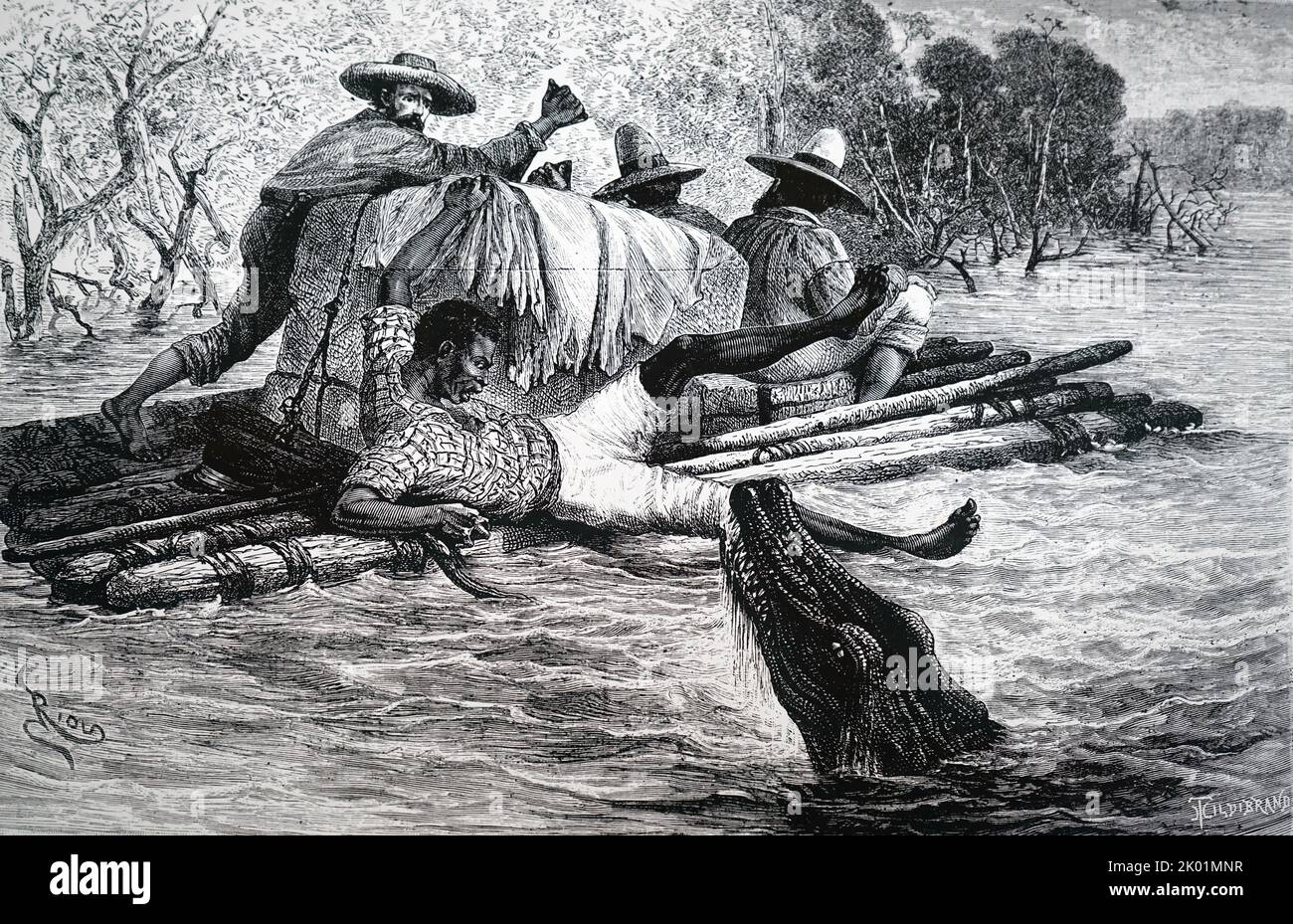 One of Crevaux's party being attacked by a Caymen while exploring the Goyabero River. Crevaux was murdered by Todas Indians. Stock Photo