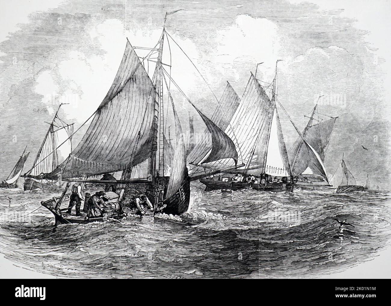 Oyster dredging in Whitstable Bay Stock Photo Alamy